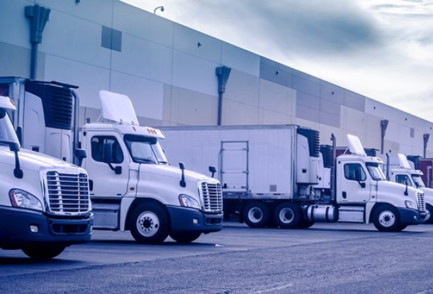 Distribution / Wholesale